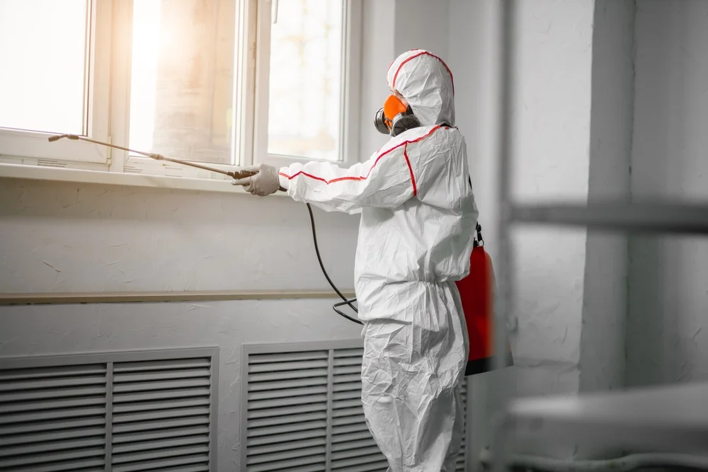 Professional mold remediation services in Passadumkeag, ME